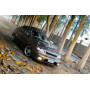 Протитуманні фари Daewoo Lanos Sport, 1999-, DW-447