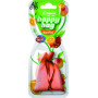 Ароматизатор Paloma Happy Bag Exotic