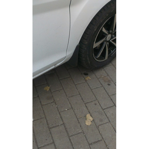 Бризковики для Ford Fiesta 2009-2016 комплект