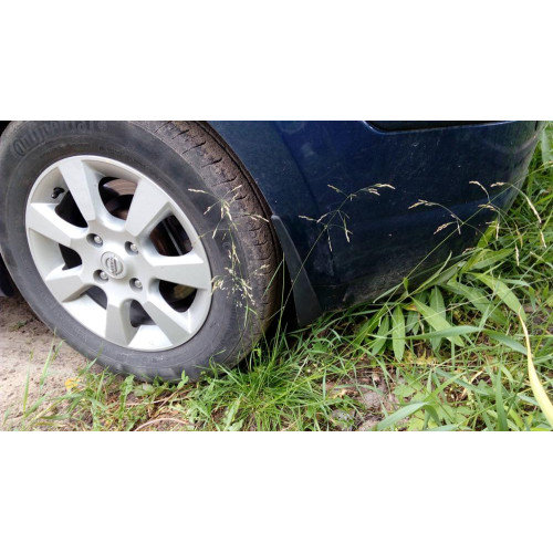 Бризковики Nissan Tiida '07-12 (хетчбек, седан)